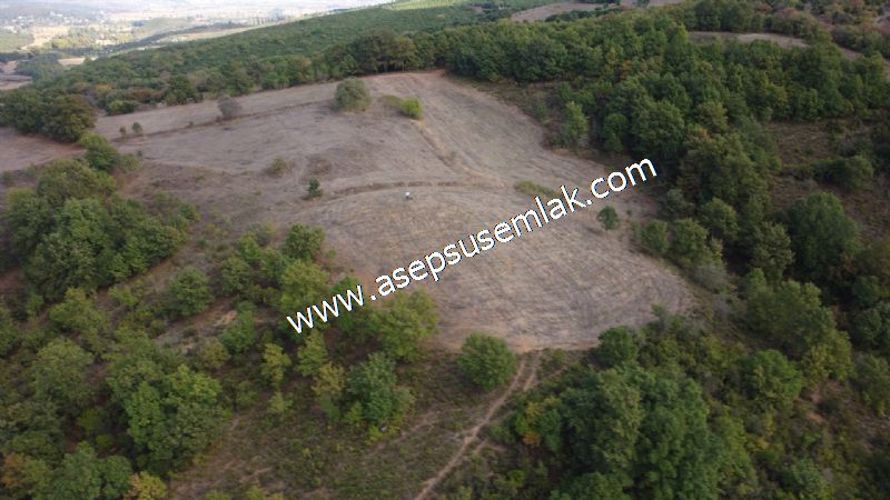 3.100 M2 Yatırımlık Tarla Doğası Süper Hakim Tepede Hobi Bahçesi
