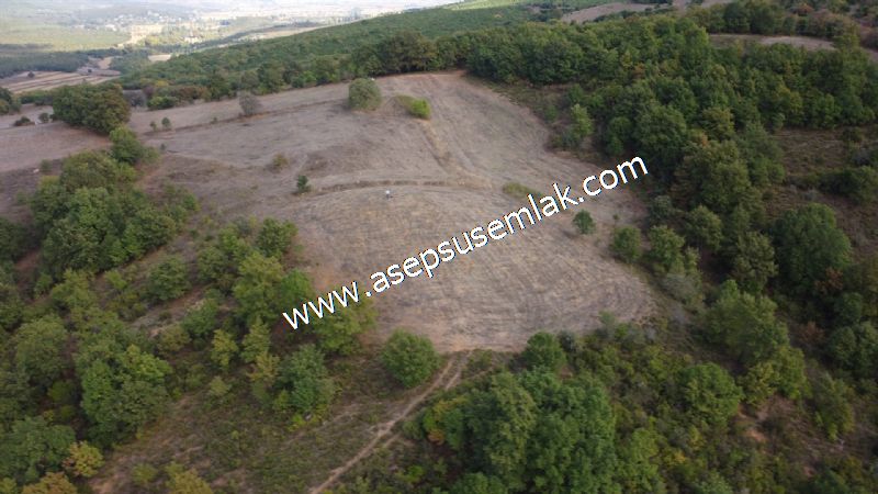 3.100 M2 Yatırımlık Tarla Doğası Süper Hakim Tepede Hobi Bahçesi