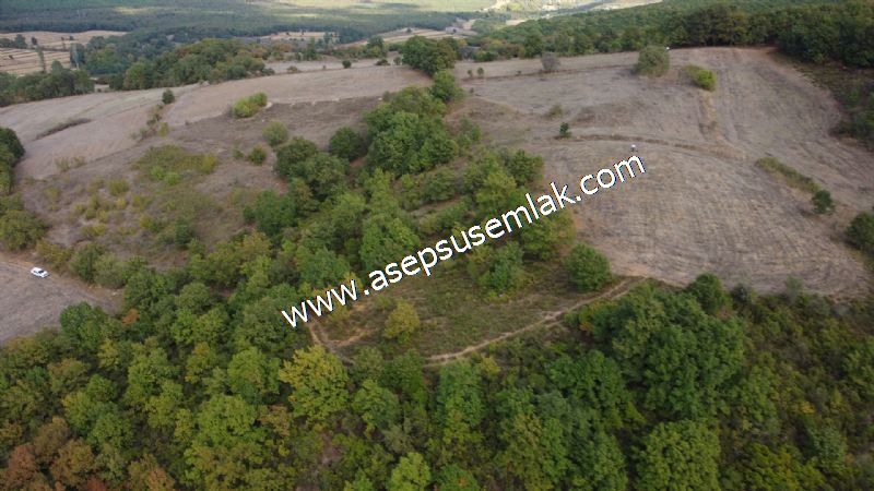 3.100 M2 Yatırımlık Tarla Doğası Süper Hakim Tepede Hobi Bahçesi