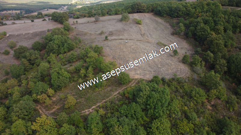 3.100 M2 Yatırımlık Tarla Doğası Süper Hakim Tepede Hobi Bahçesi