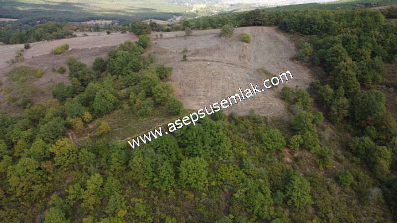 3.100 M2 Yatırımlık Tarla Doğası Süper Hakim Tepede Hobi Bahçesi