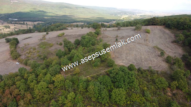 3.100 M2 Yatırımlık Tarla Doğası Süper Hakim Tepede Hobi Bahçesi