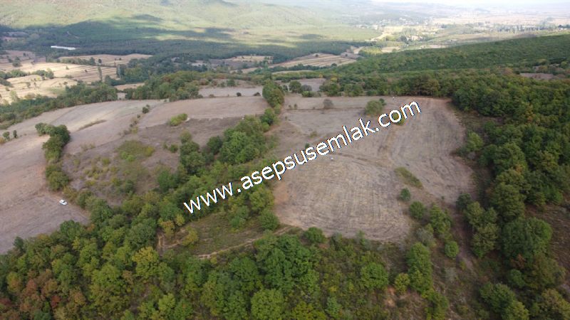 3.100 M2 Yatırımlık Tarla Doğası Süper Hakim Tepede Hobi Bahçesi