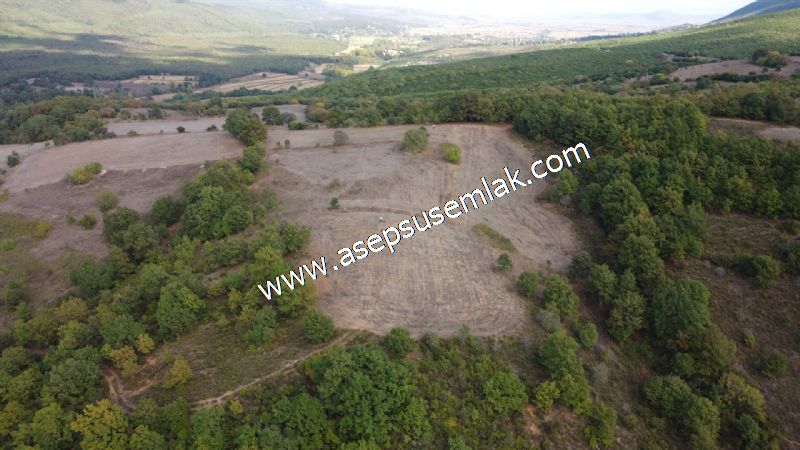 3.100 M2 Yatırımlık Tarla Doğası Süper Hakim Tepede Hobi Bahçesi