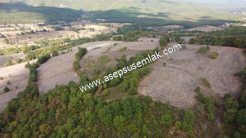 3.100 M2 Yatırımlık Tarla Doğası Süper Hakim Tepede Hobi Bahçesi