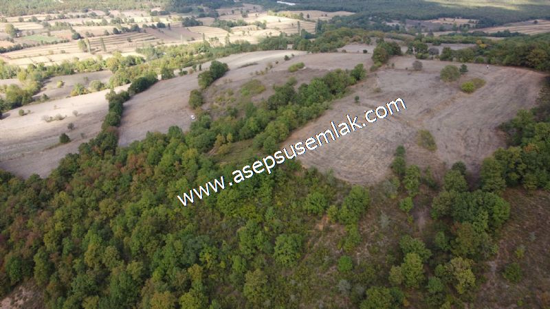 3.100 M2 Yatırımlık Tarla Doğası Süper Hakim Tepede Hobi Bahçesi
