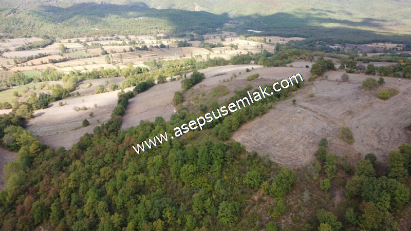 3.100 M2 Yatırımlık Tarla Doğası Süper Hakim Tepede Hobi Bahçesi