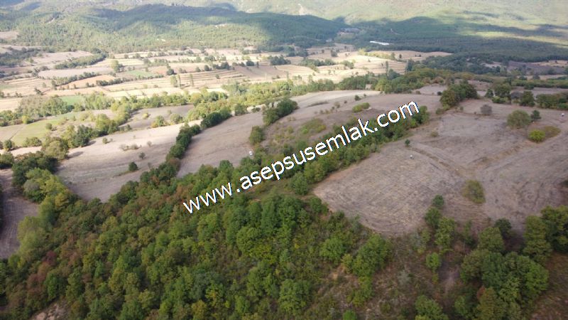 3.100 M2 Yatırımlık Tarla Doğası Süper Hakim Tepede Hobi Bahçesi