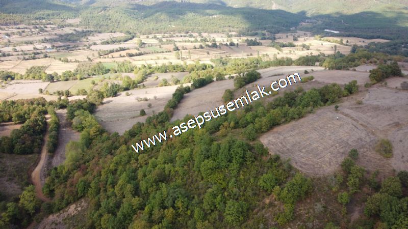 3.100 M2 Yatırımlık Tarla Doğası Süper Hakim Tepede Hobi Bahçesi