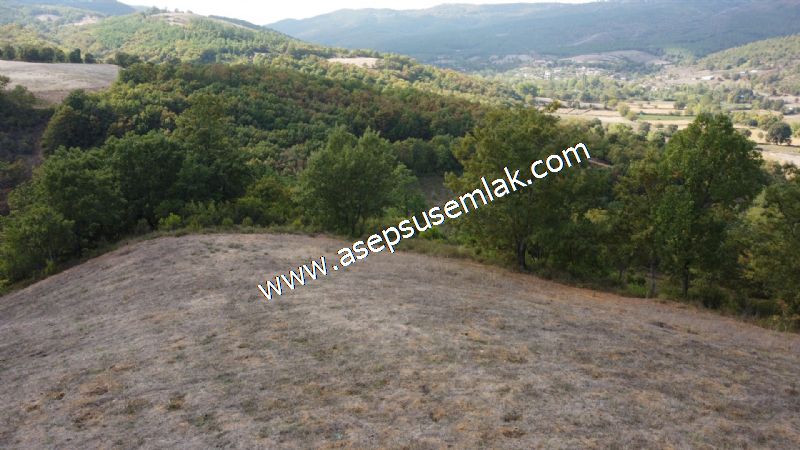 3.100 M2 Yatırımlık Tarla Doğası Süper Hakim Tepede Hobi Bahçesi