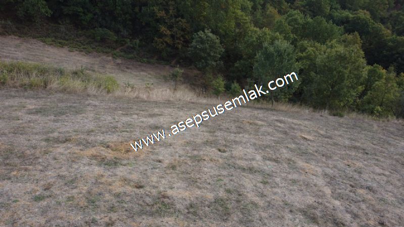3.100 M2 Yatırımlık Tarla Doğası Süper Hakim Tepede Hobi Bahçesi