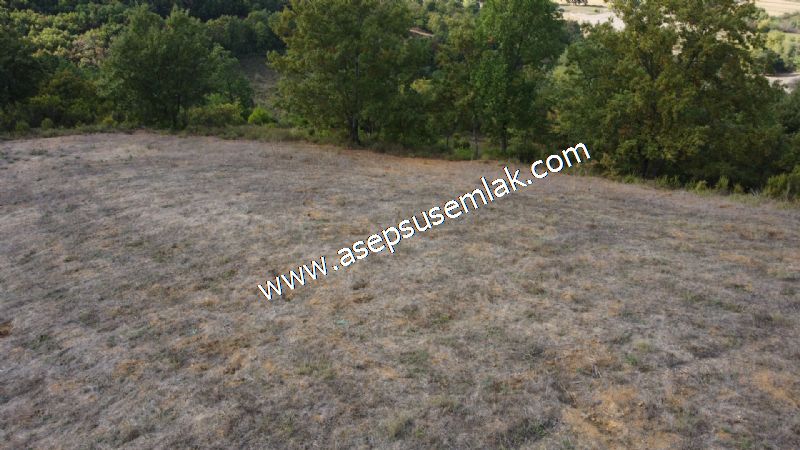 3.100 M2 Yatırımlık Tarla Doğası Süper Hakim Tepede Hobi Bahçesi