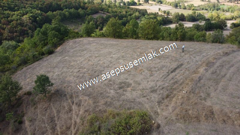 3.100 M2 Yatırımlık Tarla Doğası Süper Hakim Tepede Hobi Bahçesi