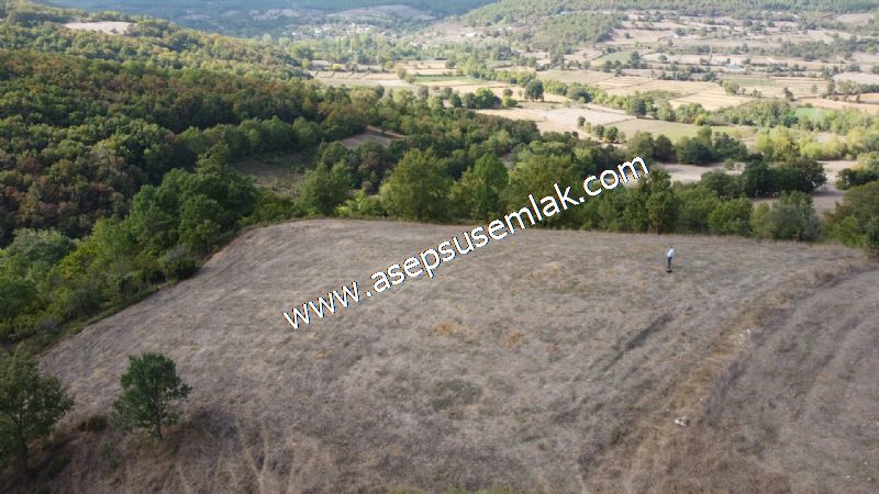 3.100 M2 Yatırımlık Tarla Doğası Süper Hakim Tepede Hobi Bahçesi