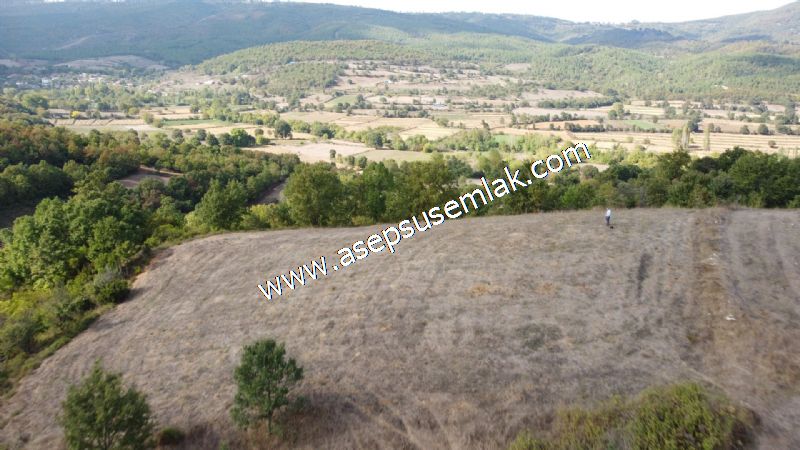 3.100 M2 Yatırımlık Tarla Doğası Süper Hakim Tepede Hobi Bahçesi