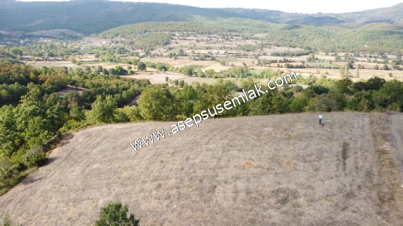 3.100 M2 Yatırımlık Tarla Doğası Süper Hakim Tepede Hobi Bahçesi