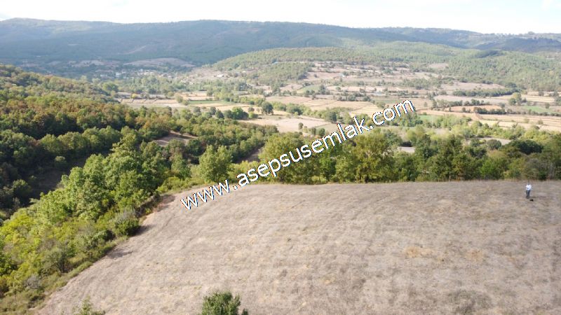 3.100 M2 Yatırımlık Tarla Doğası Süper Hakim Tepede Hobi Bahçesi
