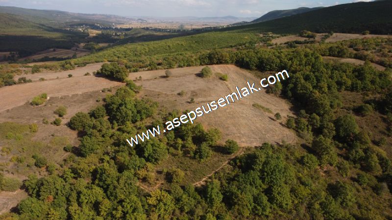 3.100 M2 Yatırımlık Tarla Doğası Süper Hakim Tepede Hobi Bahçesi
