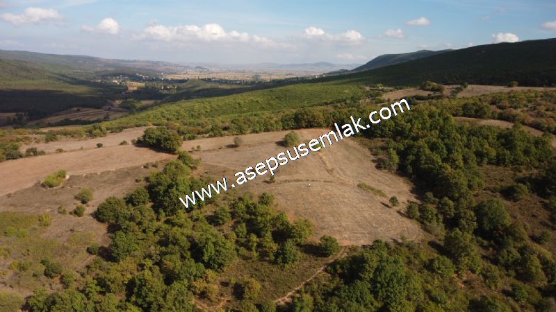 3.100 M2 Yatırımlık Tarla Doğası Süper Hakim Tepede Hobi Bahçesi