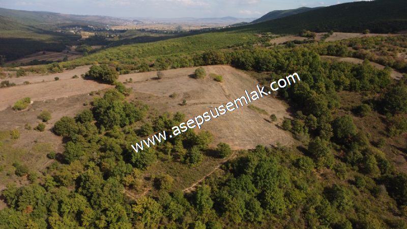 3.100 M2 Yatırımlık Tarla Doğası Süper Hakim Tepede Hobi Bahçesi