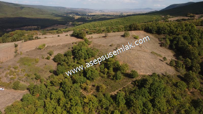 3.100 M2 Yatırımlık Tarla Doğası Süper Hakim Tepede Hobi Bahçesi