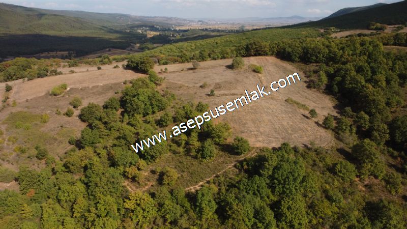 3.100 M2 Yatırımlık Tarla Doğası Süper Hakim Tepede Hobi Bahçesi