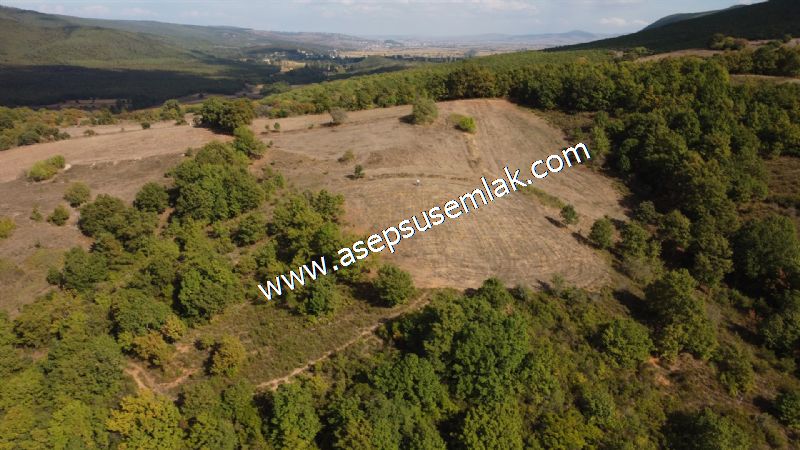 3.100 M2 Yatırımlık Tarla Doğası Süper Hakim Tepede Hobi Bahçesi