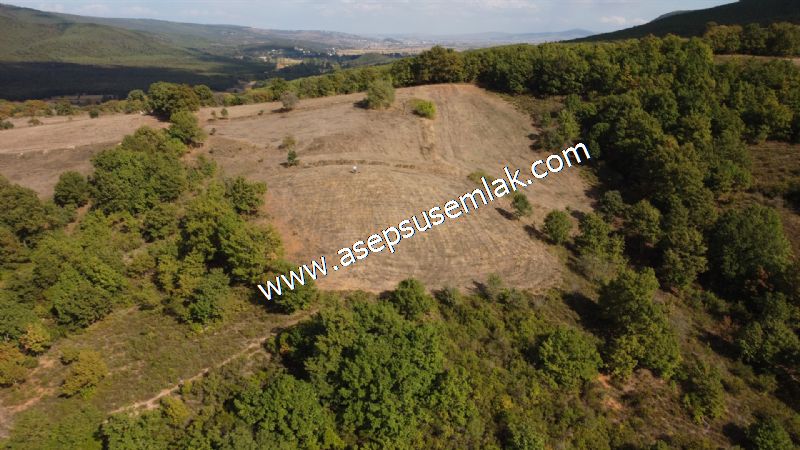 3.100 M2 Yatırımlık Tarla Doğası Süper Hakim Tepede Hobi Bahçesi