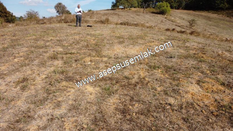 3.100 M2 Yatırımlık Tarla Doğası Süper Hakim Tepede Hobi Bahçesi