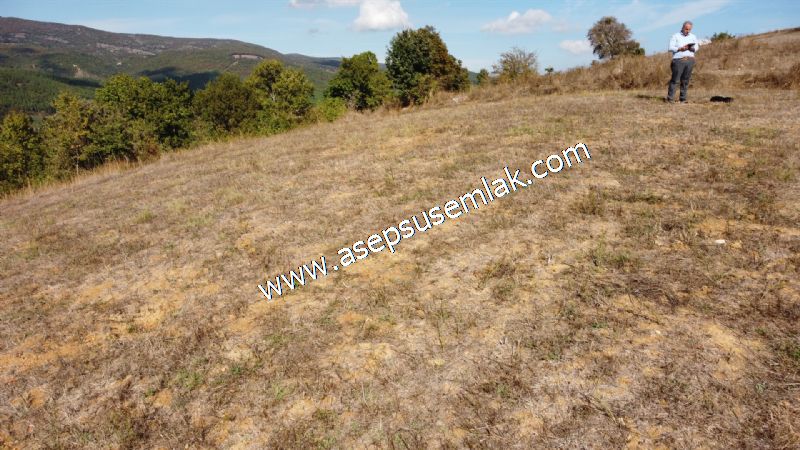 3.100 M2 Yatırımlık Tarla Doğası Süper Hakim Tepede Hobi Bahçesi