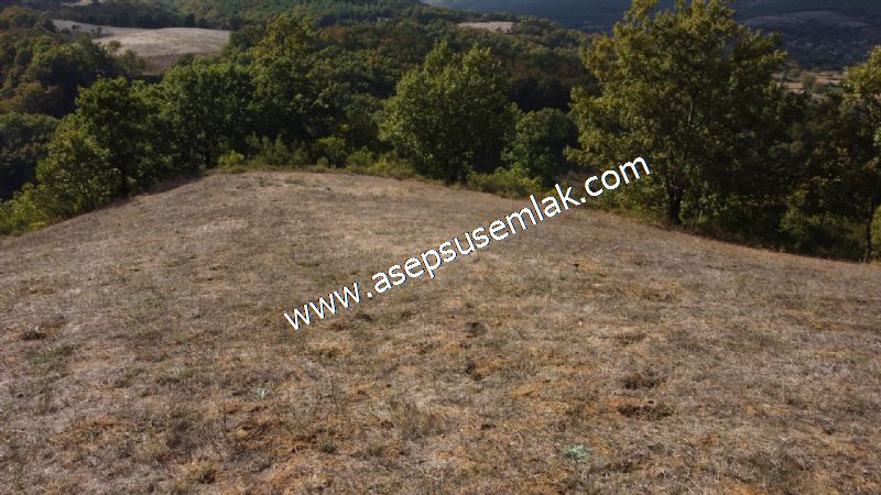 3.100 M2 Yatırımlık Tarla Doğası Süper Hakim Tepede Hobi Bahçesi