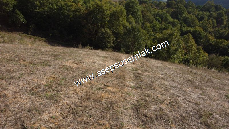 3.100 M2 Yatırımlık Tarla Doğası Süper Hakim Tepede Hobi Bahçesi