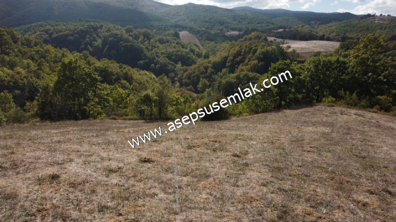 3.100 M2 Yatırımlık Tarla Doğası Süper Hakim Tepede Hobi Bahçesi