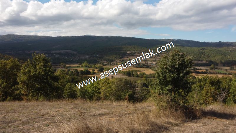 3.100 M2 Yatırımlık Tarla Doğası Süper Hakim Tepede Hobi Bahçesi