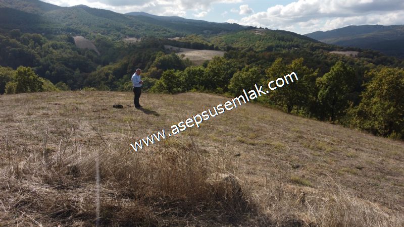 3.100 M2 Yatırımlık Tarla Doğası Süper Hakim Tepede Hobi Bahçesi
