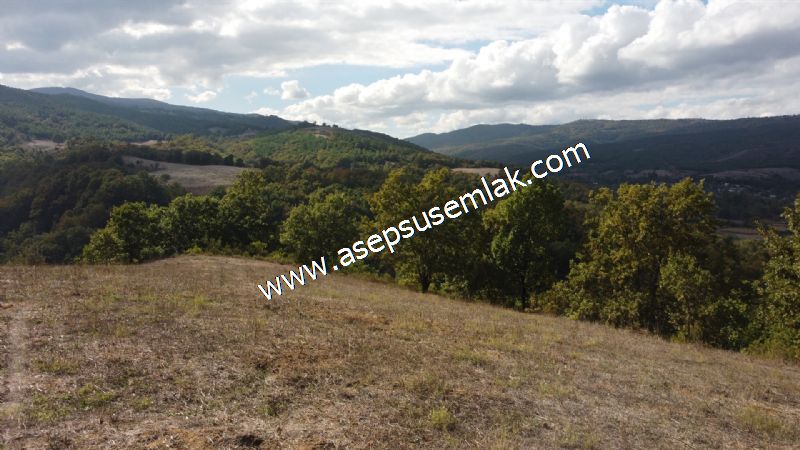 3.100 M2 Yatırımlık Tarla Doğası Süper Hakim Tepede Hobi Bahçesi