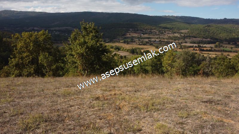 3.100 M2 Yatırımlık Tarla Doğası Süper Hakim Tepede Hobi Bahçesi
