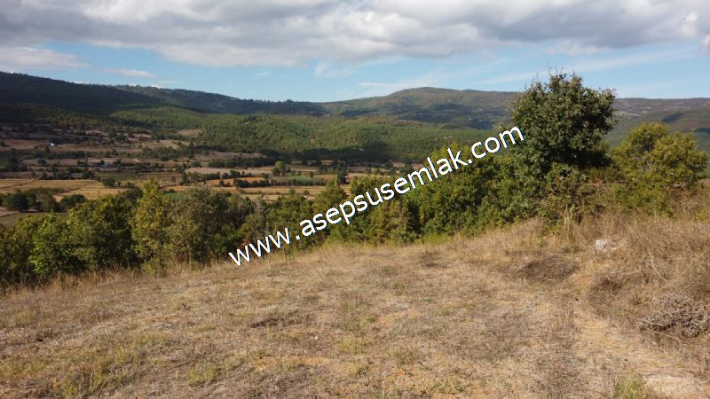 3.100 M2 Yatırımlık Tarla Doğası Süper Hakim Tepede Hobi Bahçesi