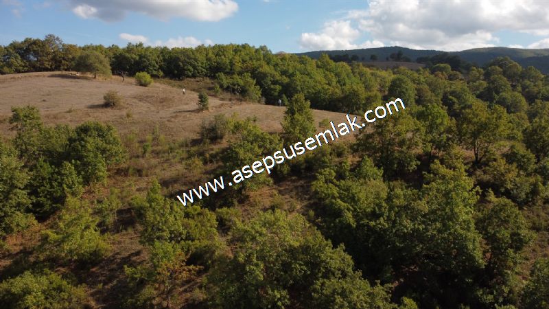 3.100 M2 Yatırımlık Tarla Doğası Süper Hakim Tepede Hobi Bahçesi