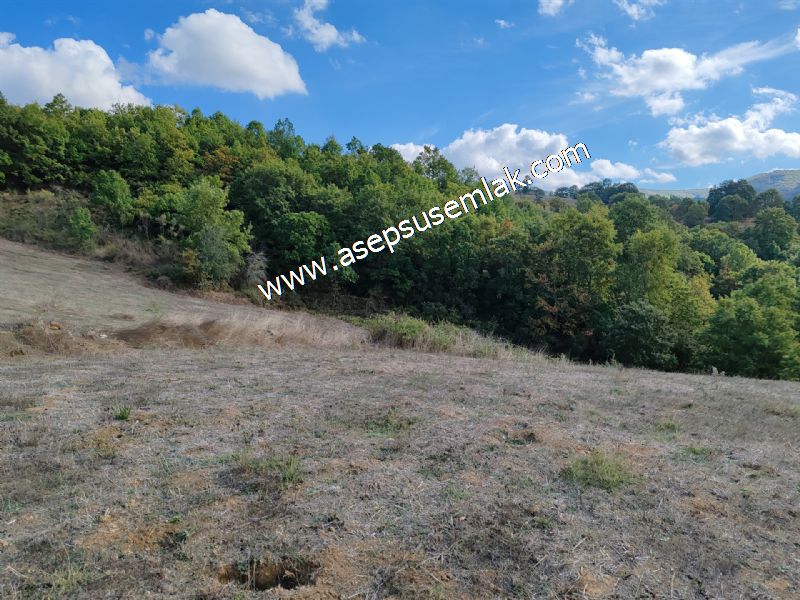 3.100 M2 Yatırımlık Tarla Doğası Süper Hakim Tepede Hobi Bahçesi