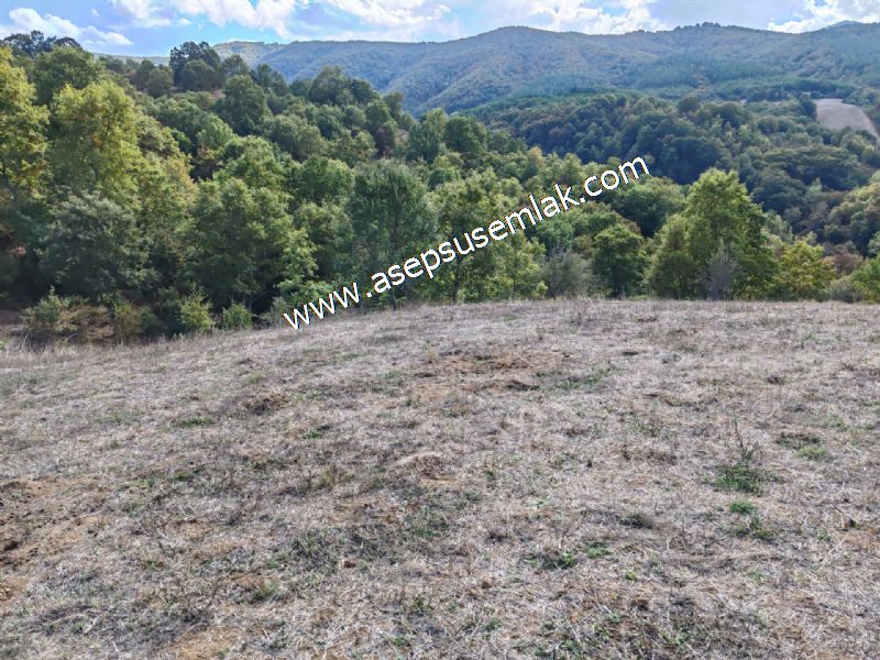 3.100 M2 Yatırımlık Tarla Doğası Süper Hakim Tepede Hobi Bahçesi