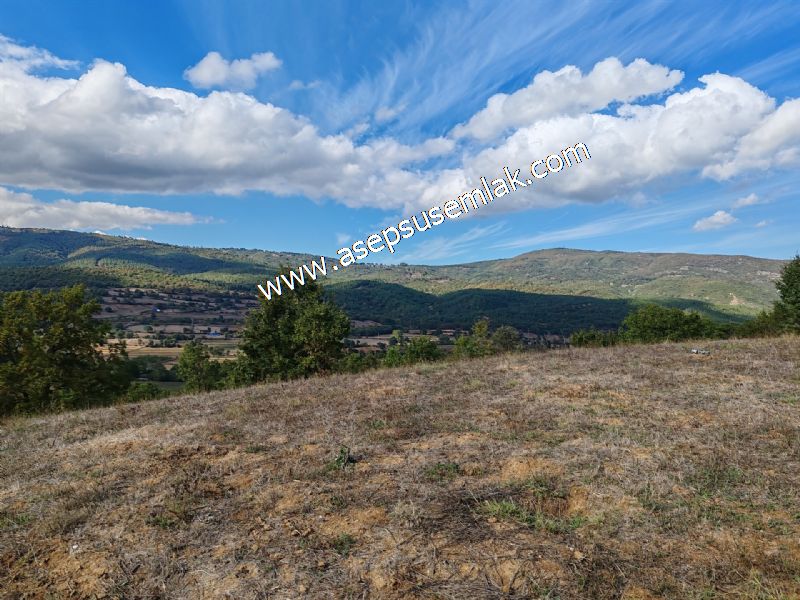3.100 M2 Yatırımlık Tarla Doğası Süper Hakim Tepede Hobi Bahçesi