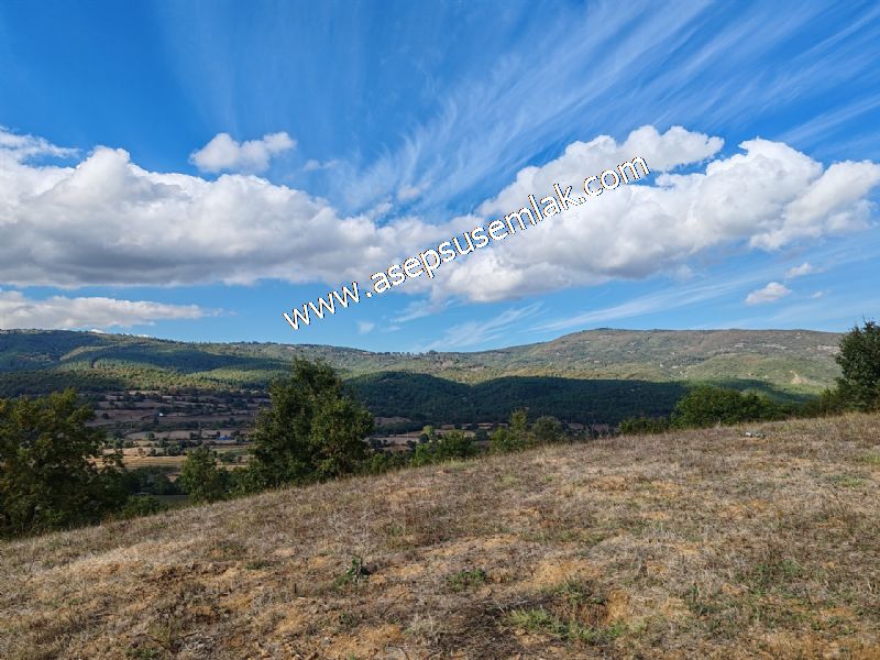 3.100 M2 Yatırımlık Tarla Doğası Süper Hakim Tepede Hobi Bahçesi