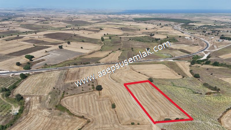 7.200 m2 Çiftlik Bağ-Bahçe Kadastro Yola Cepheli Bayramiç'te