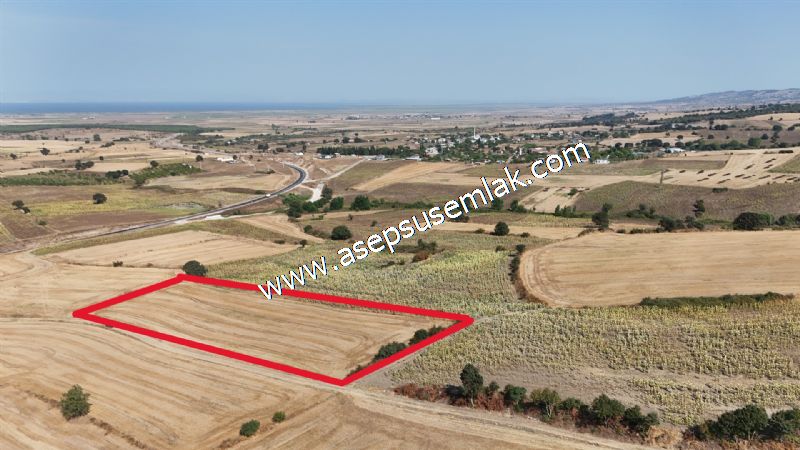 7.200 m2 Çiftlik Bağ-Bahçe Kadastro Yola Cepheli Bayramiç'te