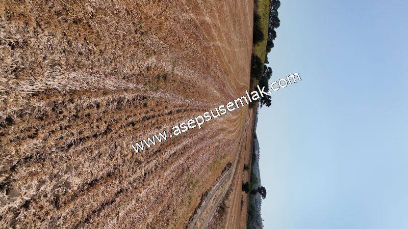 7.200 m2 Çiftlik Bağ-Bahçe Kadastro Yola Cepheli Bayramiç'te