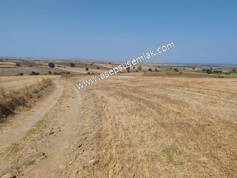 7.200 m2 Çiftlik Bağ-Bahçe Kadastro Yola Cepheli Bayramiç'te