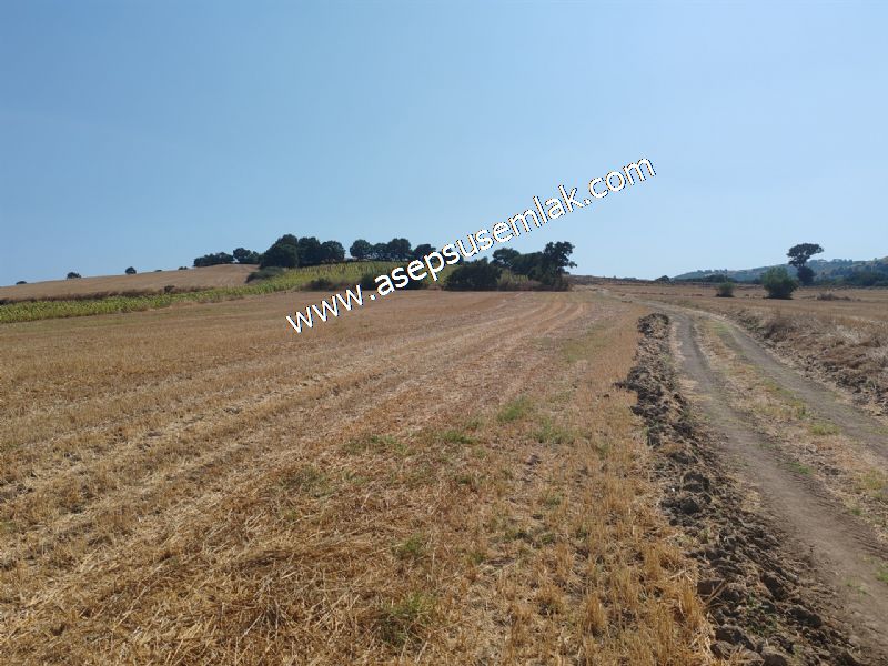 7.200 m2 Çiftlik Bağ-Bahçe Kadastro Yola Cepheli Bayramiç'te