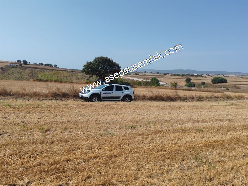 7.200 m2 Çiftlik Bağ-Bahçe Kadastro Yola Cepheli Bayramiç'te