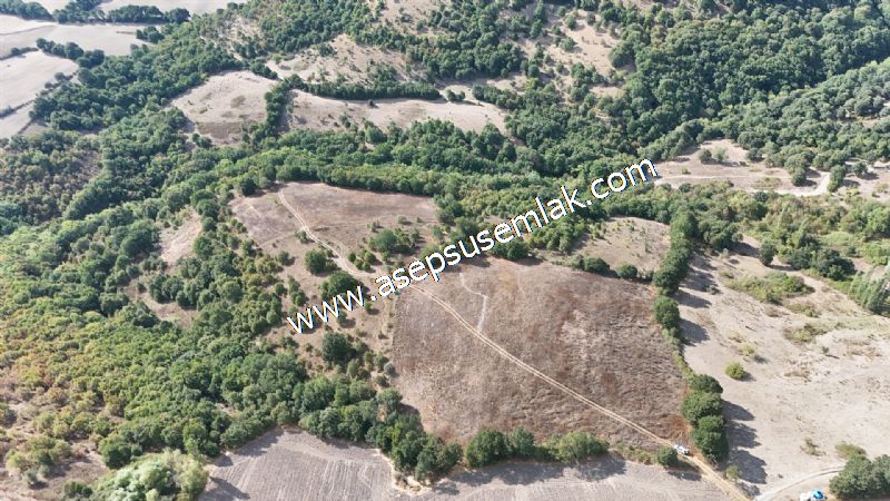 71.030 m2 Yatırımlık Tarla Bağ Bahçe Hobi Bahçesi Resmi Yol Yok.